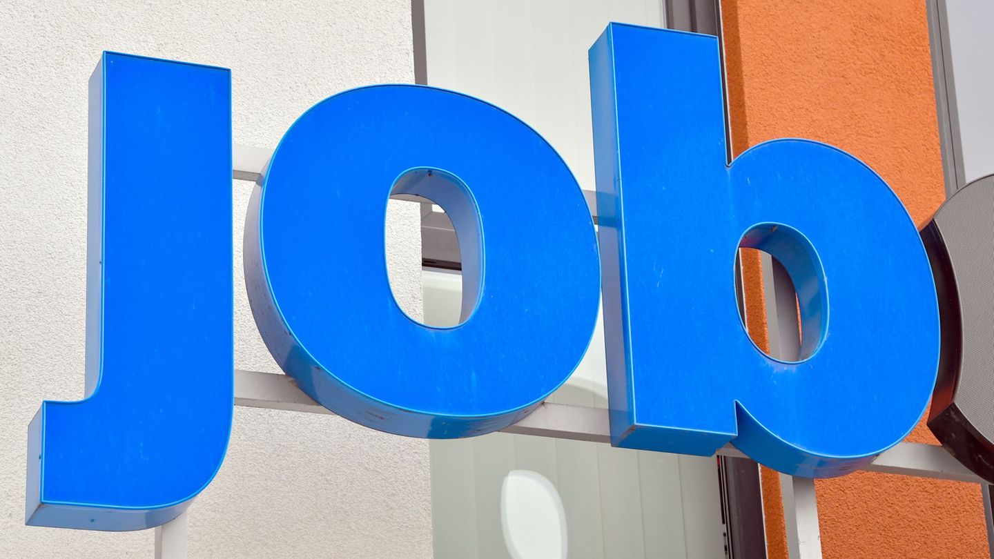 Das Beschäftigungswachstum fiel 2025 geringer aus als in den Vorjahren. (Symbolbild) Foto: Patrick Pleul/dpa-Zentralbild/dpa