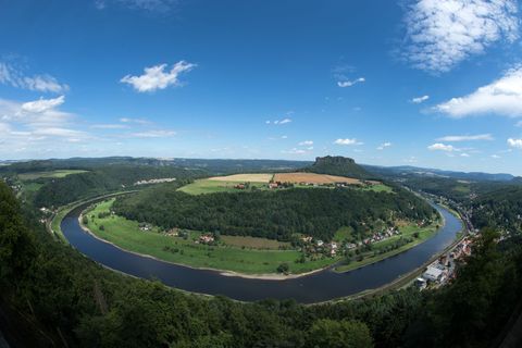 Der BUND untersucht in einem Projekt trockene Lebensräume im sächsischen Elbtal (Archivbild). Foto: picture alliance / Arno Burg