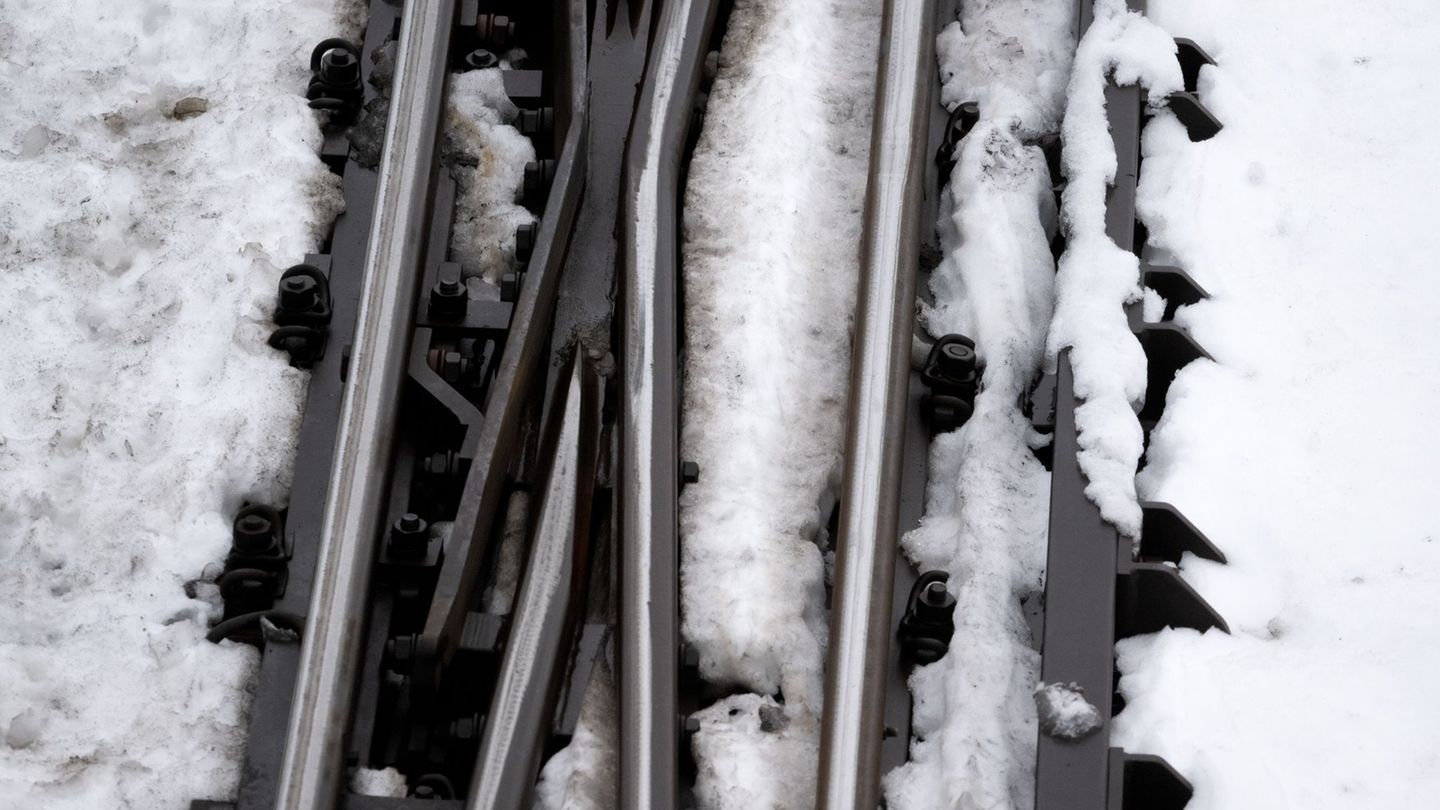 Wegen der hohen Schneelast sind nach Angaben der Bahn im Raum Nürnberg mehrere Bäume auf Gleise gestürzt. (Symbolbild) Foto: Sve