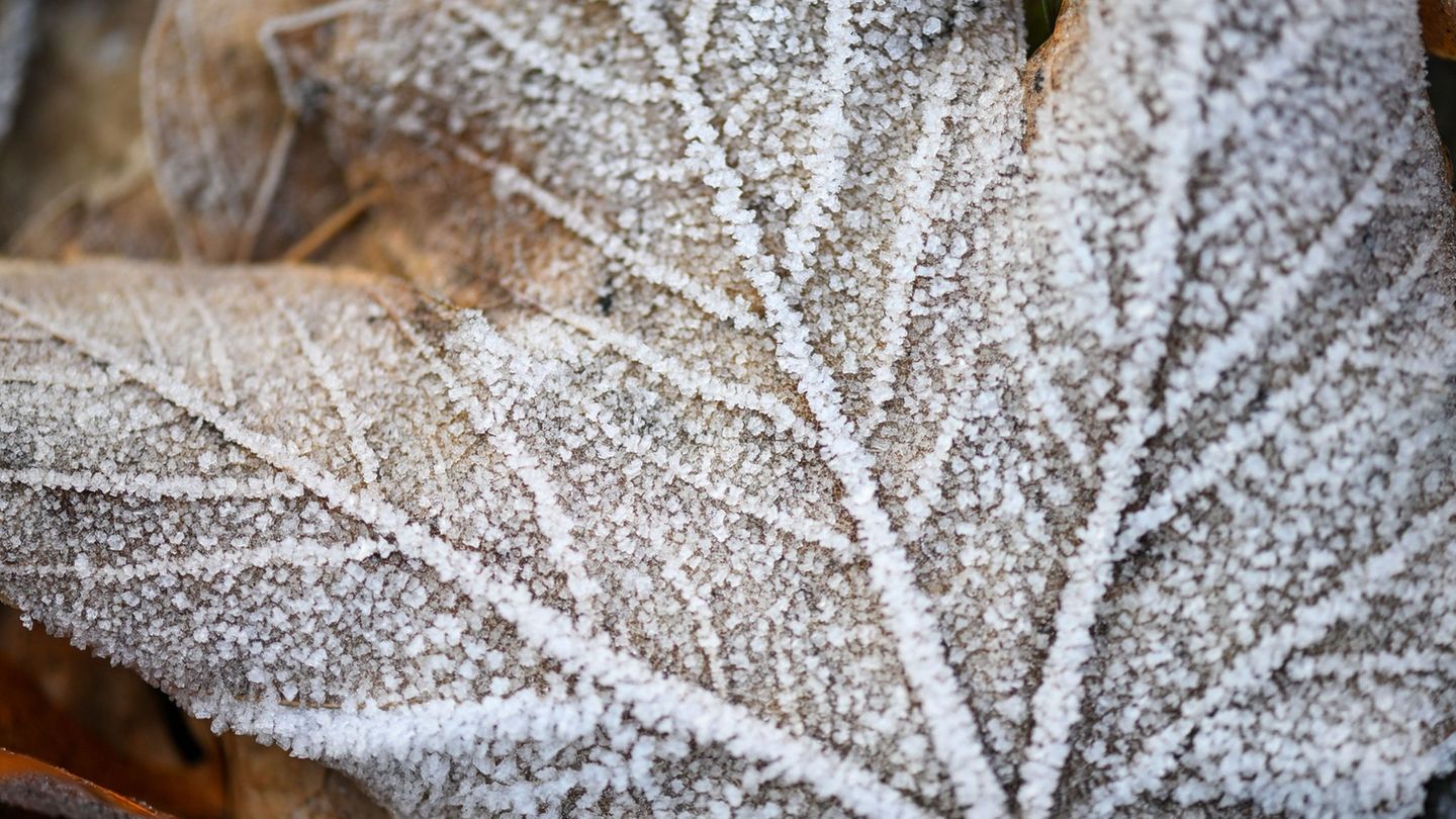 Trotz Schneefall bleibt der Winter in Mitteldeutschland bislang zu trocken. (Symbolbild) Foto: Hendrik Schmidt/dpa