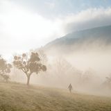 Ziegelhausen, Deutschland. Während ein großer Teil der Republik weiterhin unter einer Schneedecke liegt, genießt diese Frau in Baden-Württemberg die vernebelte Morgensonne mit ihrem Hund