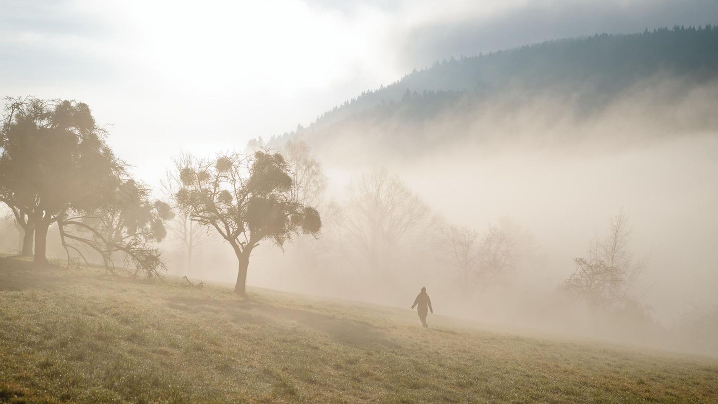Ziegelhausen, Deutschland. Während ein großer Teil der Republik weiterhin unter einer Schneedecke liegt, genießt diese Frau in Baden-Württemberg die vernebelte Morgensonne mit ihrem Hund