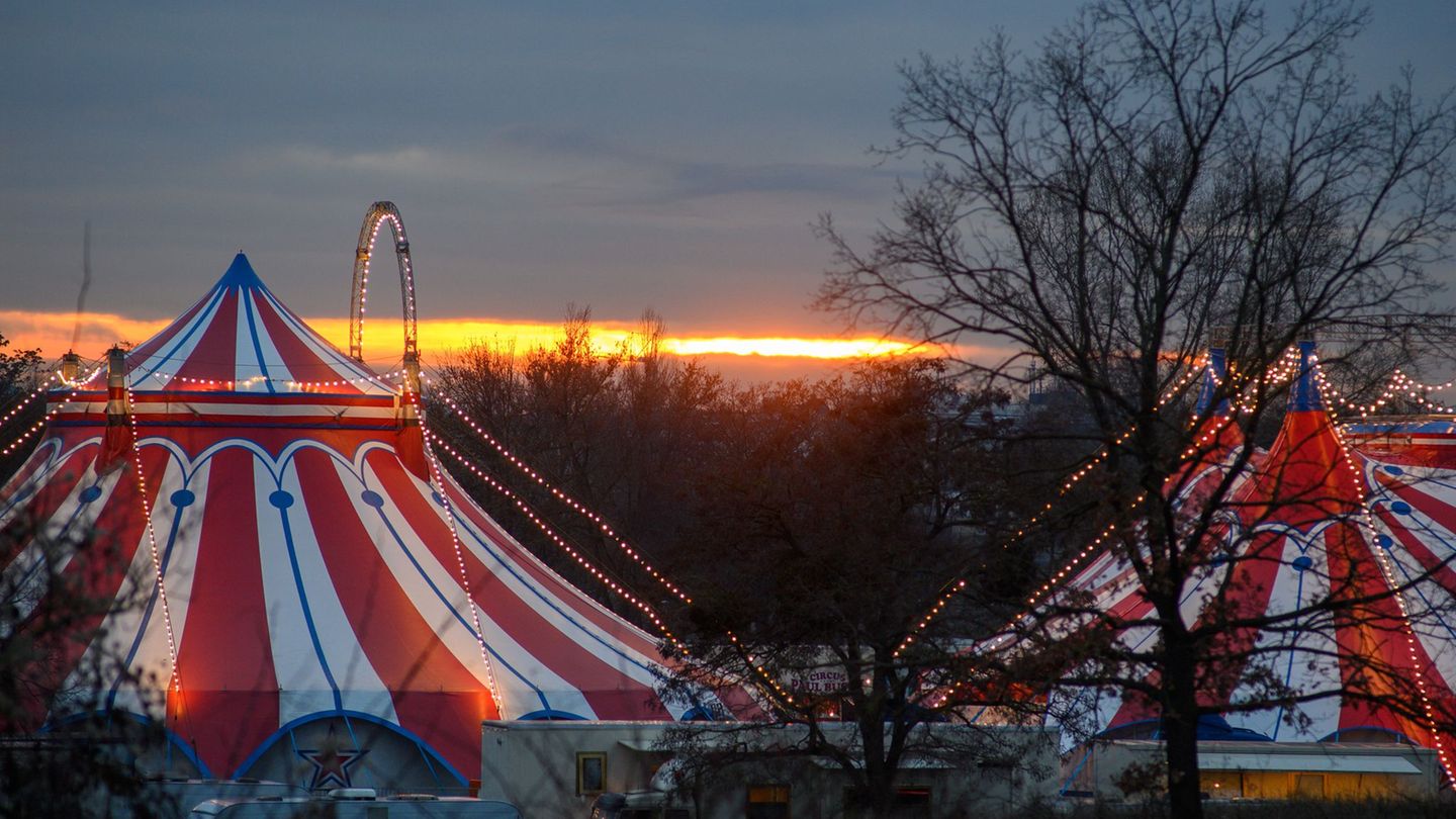 Zirkusbetriebe müssen an die Gema zahlen. (Symbolbild) Foto: Klaus-Dietmar Gabbert/dpa-Zentralbild/ZB