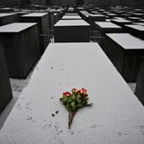 Berlin, Deutschland. Ein Strauß Rosen liegt anlässlich des Internationalen Tags des Gedenkens an die Opfer des Holocaust auf einer Stele des Denkmals für die ermordeten Juden Europas. Am 27. Januar 1945 befreiten Soldaten der Roten Armee das Konzentrations- und Vernichtungslager Auschwitz. Zwischen 1940 und 1945 ermordete das NS-Regime hier mehr als eine Million Menschen. Bis heute gilt das Lager als Inbegriff des nationalsozialistischen Rassenwahns