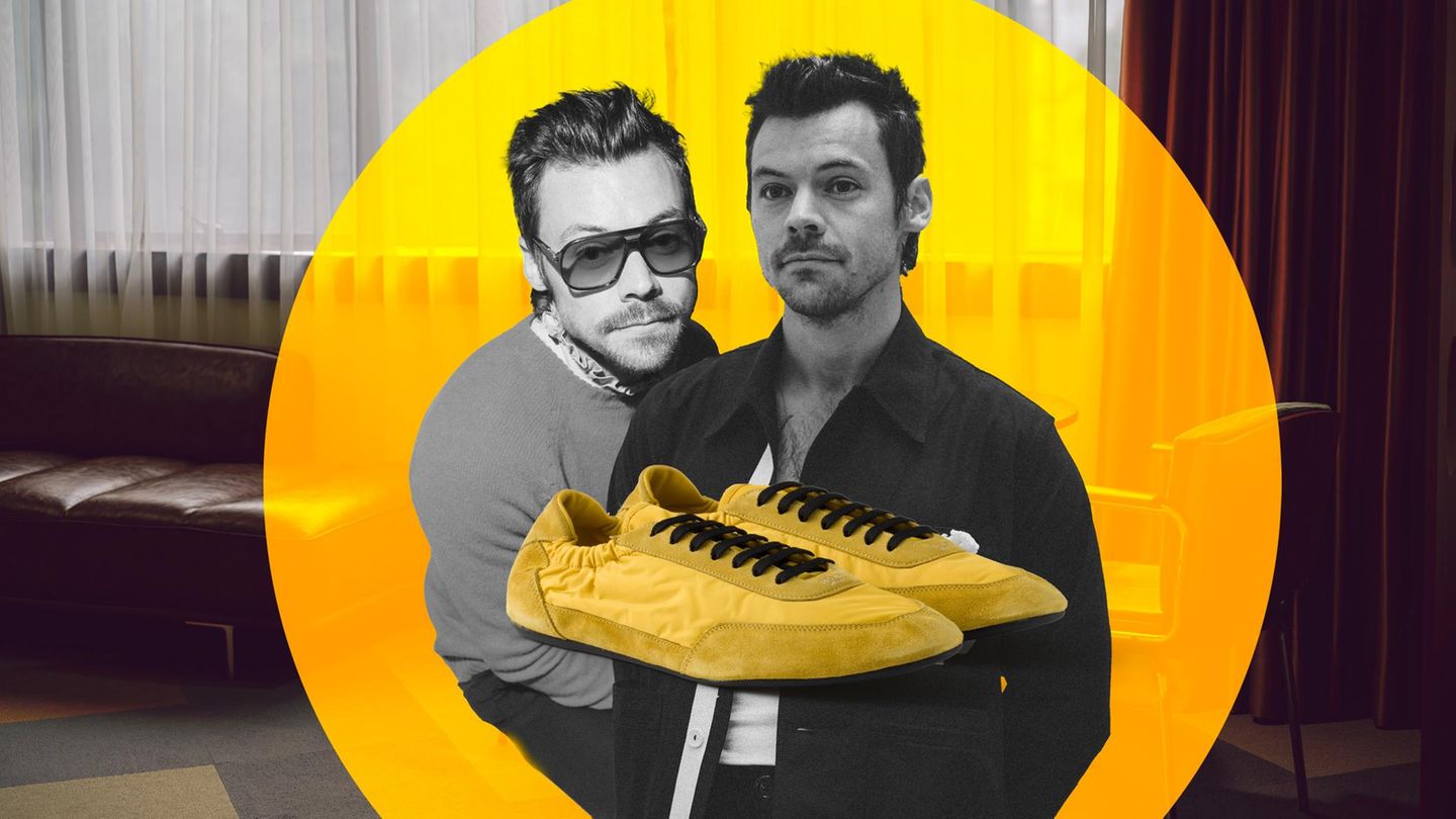 Sneakerinas Harry Styles Kollage