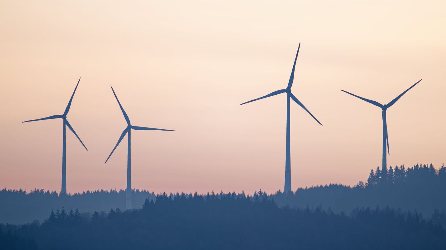 Wenn Windkraftanlagen gebaut werden, regt sich vor Ort oft Widerstand. (Archivbild) Foto: Uwe Anspach/dpa