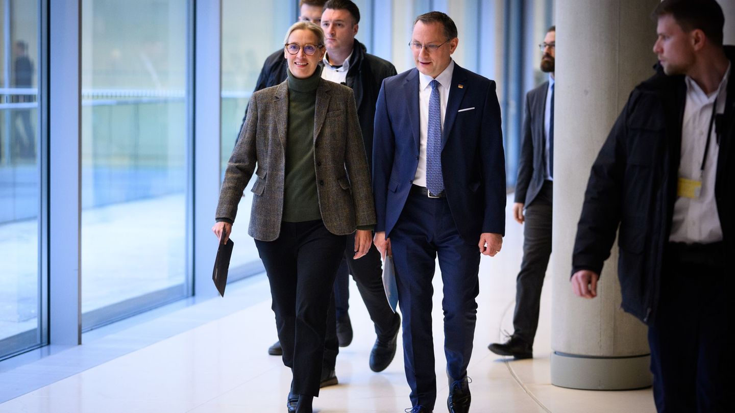 Die "Arbeitsgruppe Regierungsverantwortung" soll auf eine Initiative der Parteichefs Alice Weidel und Tino Chrupalla zurückgehen