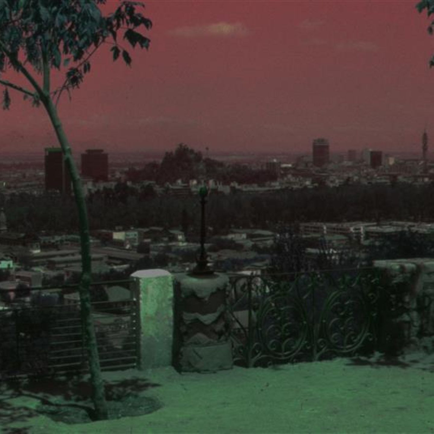 Getötet vom Partner