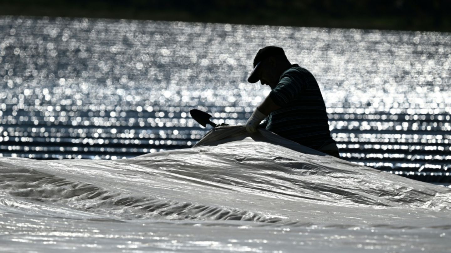 Arbeit im Spargelfeld