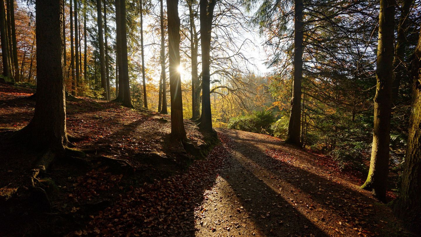 Die Stadt Remscheid hat mehr als 100.000 Einwohner und liegt im Bergischen Land. Sie ist gut gegen Klimagefahren gewappnet. (Arc