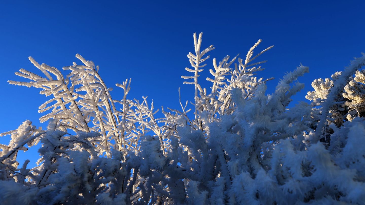 Im-Schnee-versteckt-Wie-zwei-Polizisten-f-r-einen-Jungen-zu-Monsterj-gern-wurden
