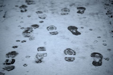 Die Polizei kann den mutmaßlichen Täter in einem Treppenhaus stellen, nachdem ihn seine Fußspuren verraten haben. (Symbolbild) F