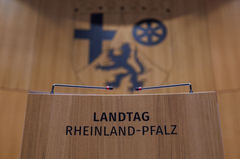 Das Land will die Polizeipräsenz in Schulen verstärken, bei denen es bereits Vorkommnisse mit Gewalt gab und die als Brennpunkts
