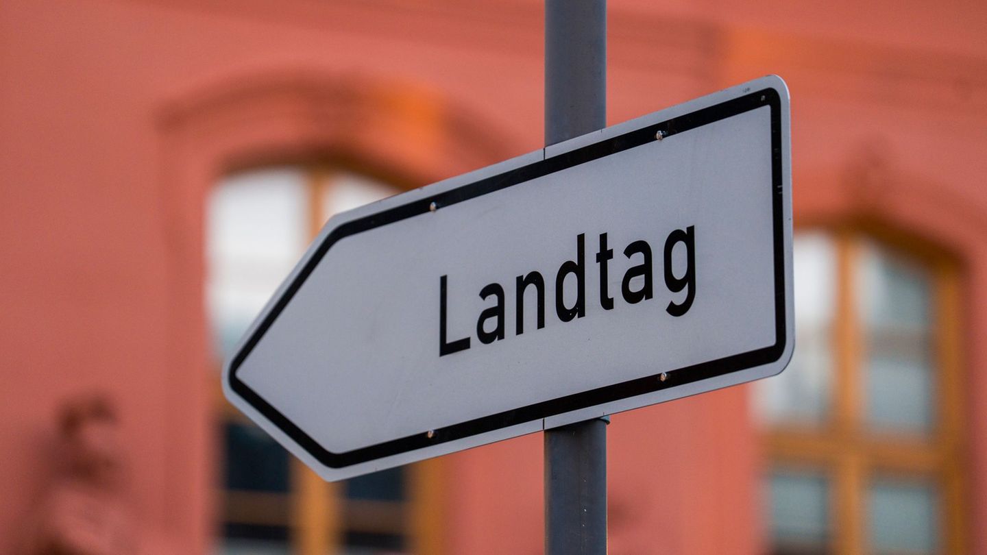 Der rheinland-pfälzische Landtag kommt am Donnerstag zum letzten Mal in der zu Ende gehenden Legislaturperiode zusammen. (Archiv