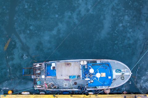 Die Bestände in der Ostsee stehen wegen des Klimawandels, Überfischung und Nährstoffeinträgen stark unter Druck. Foto: Jens Bütt