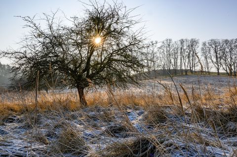 Am Wochenende lockert die dichte Wolkendecke stellenweise auf und macht den Blick auf den Himmel frei. (Symbolbild) Foto: Patric