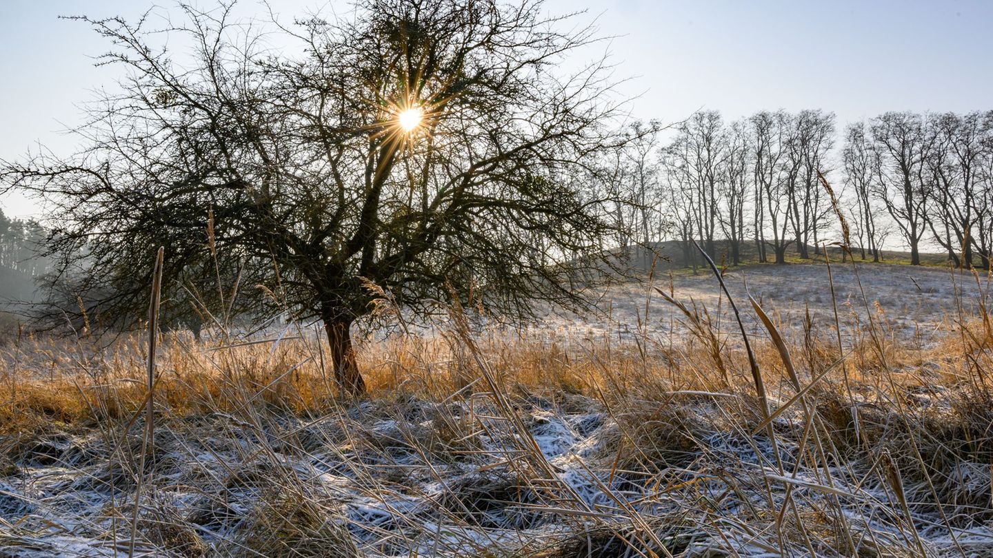 Am Wochenende lockert die dichte Wolkendecke stellenweise auf und macht den Blick auf den Himmel frei. (Symbolbild) Foto: Patric