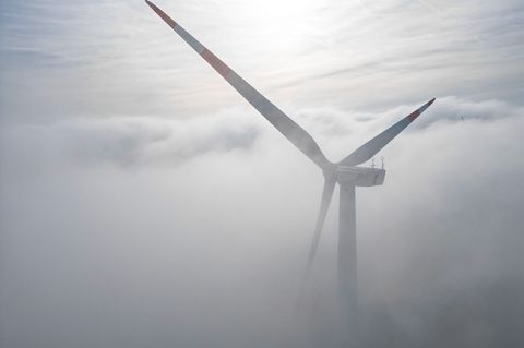 Die Ausgrabungen erfolgten Ende 2025 im Vorfeld des Baus von Windkraftanlagen. (Symbolbild) Foto: Jan Woitas/dpa