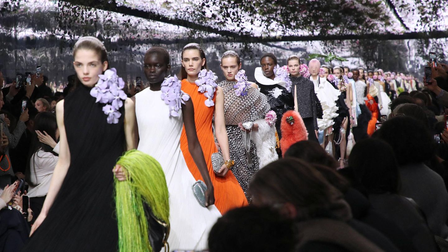 Haute Couture Mode Dior 1