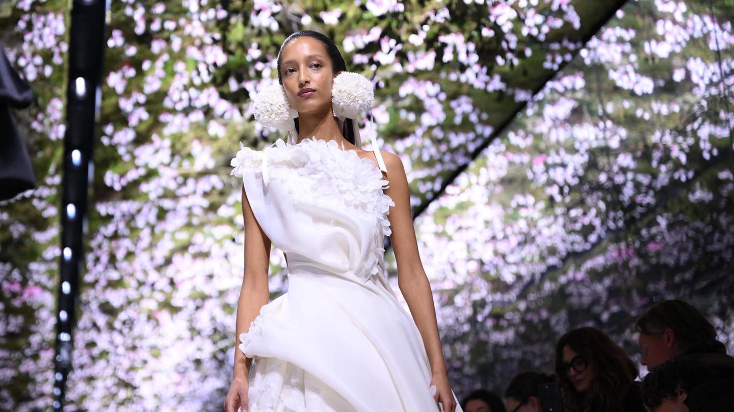 Haute Couture Mode Dior 2