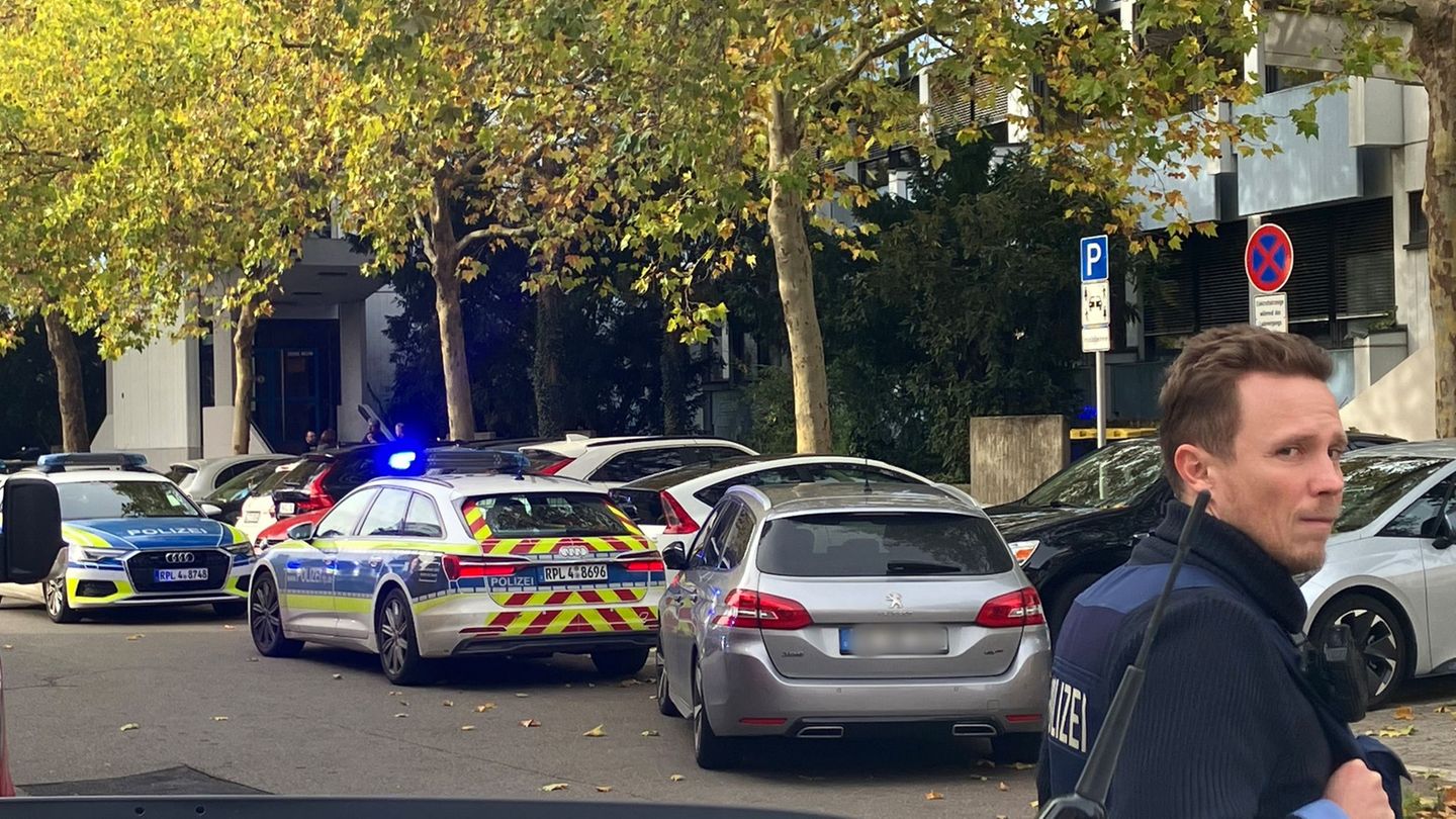 An der Karolina-Burger-Realschule plus in Ludwigshafen kommt es immer wieder zu Polizeieinsätzen. (Archivbild) Foto: Wolfgang Ju