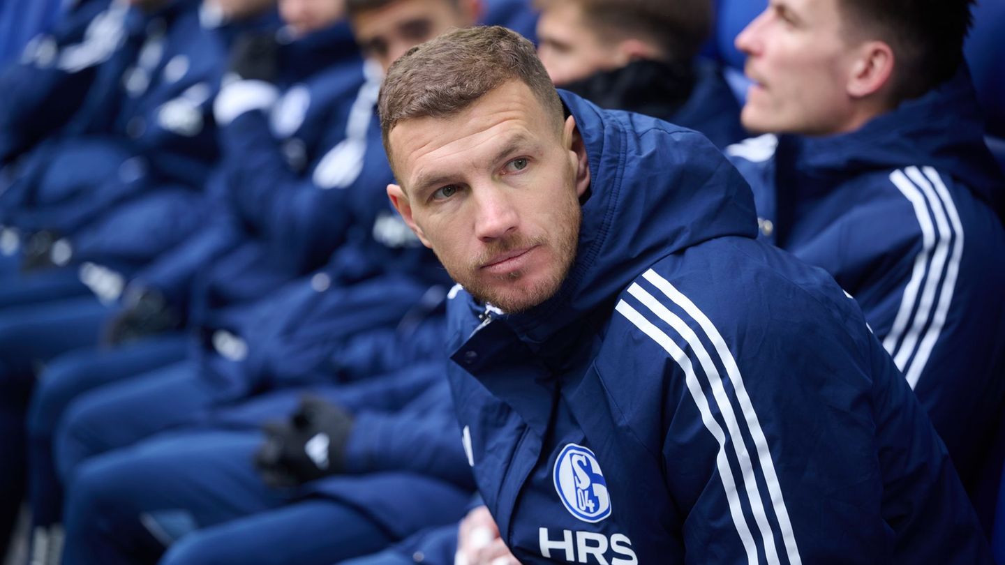 Edin Dzeko bleibt vorerst Joker beim FC Schalke. (Archivbild) Foto: Bernd Thissen/dpa