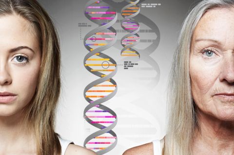 Langlebigkeit: Symbolbild, links junge Frau, in der Mitte DNA-Doppelhelix, rechts alte Frau