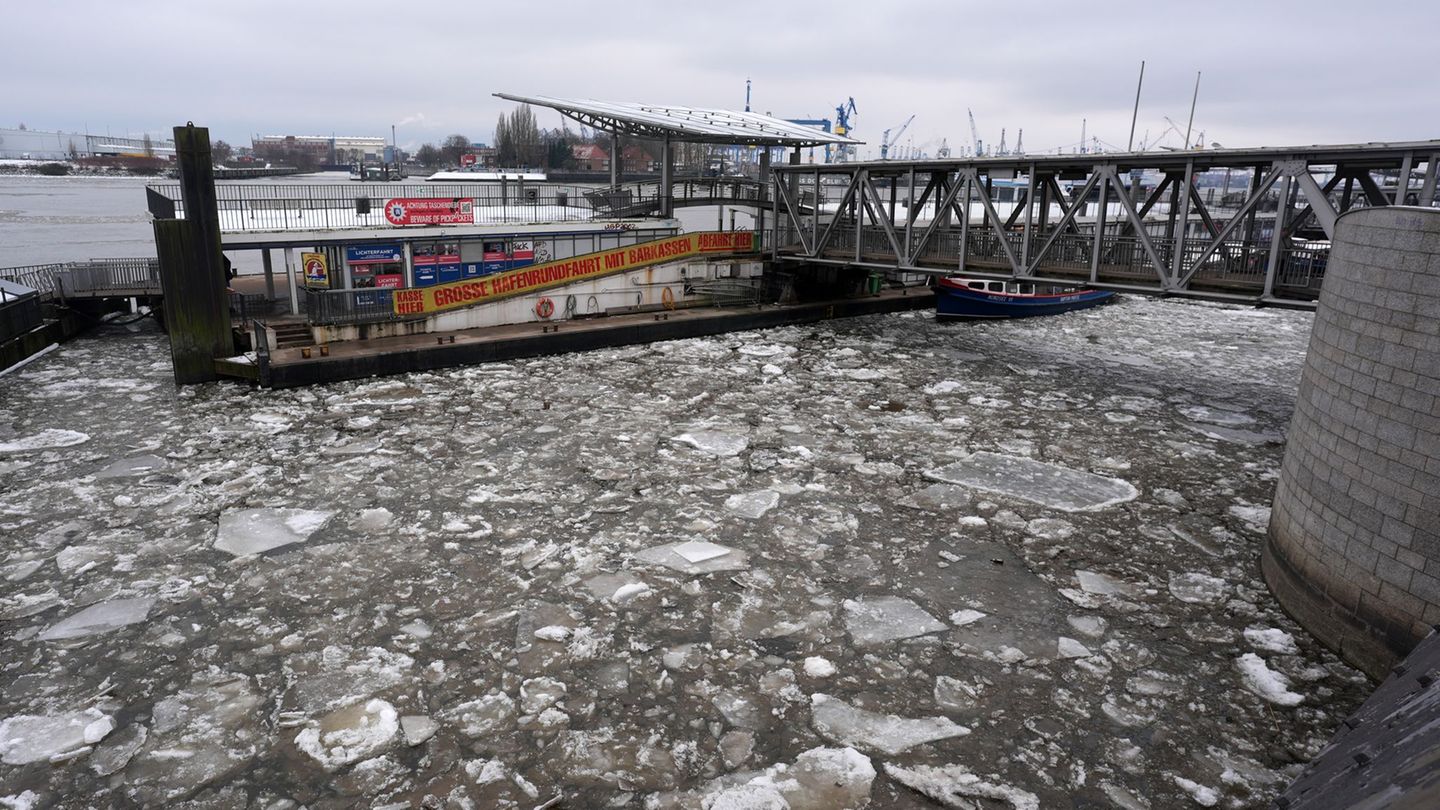 Viele Eisschollen treiben auf der Elbe in Hamburg. Foto: Marcus Brandt/dpa