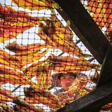 Ein junger Arbeiter in Myanmar arrangiert getrockneten Fisch. Präzise, konzentriert, routiniert. Von unten wirkt die Szenerie beinahe abstrakt: Die orange-gelben Meeresfrüchte leuchten wie buntes Glas, während der Blick des Jungen durch das Gitter fällt. Doch hinter dem ästhetischen Muster steckt Expertise und Handwerk. Trocknen ist eine traditionelle Konservierungsmethode, die Fisch auch ohne Kühlung haltbar macht. Und daher besonders in Regionen, in denen Strom knapp oder unzuverlässig ist, ein wichtiger Bestandteil der Lebensmittelversorgung und des Handels. Stundenlang wenden Arbeiter die kostbaren Leckerbissen, achten auf Luftzirkulation und Sonneneinfall. Ein uralter Prozess, der von Hitze, Zeit und Erfahrung lebt. Und der in diesem Bild verblüffend modern daherkommt