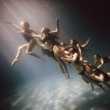 Unter Wasser verwandelt sich Bewegung in Magie: Eine Gruppe junger Frauen gleitet durch ein Band aus Sonnenstrahlen, die sich ihren Weg vom Himmel her ins Nass bahnen. Die Körper der Argentinierinnen strecken sich, drehen, halten einander. Die Fotografie fängt eine betörende Mischung aus Innehalten und Tanz ein, aus Synchronschwimmen und Schwerelosigkeit