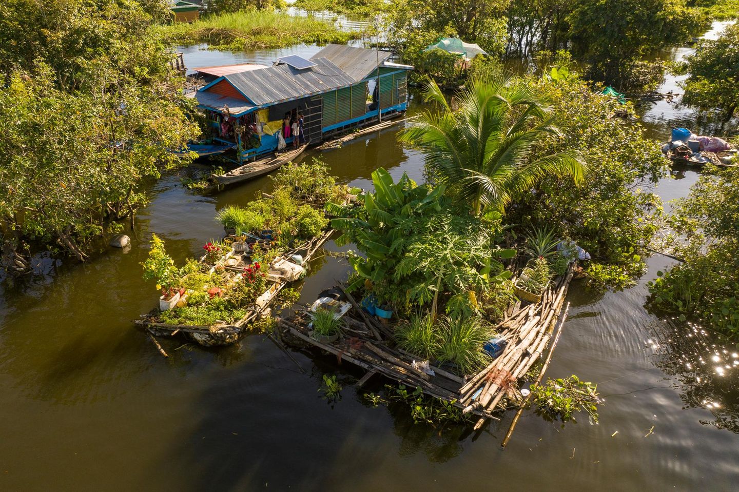 Schwimmende Beete statt Ackerboden: In den überfluteten Landschaften Kambodschas verlagern Bewohner ihre Landwirtschaft kurzerhand aufs Wasser. Auf Bambus und Holz errichten sie mobile Gärten, bepflanzen sie mit Gemüse und sichern sich so frische Nahrung trotz nomadischer Lebensweise. Die improvisierten Flöße gleiten zwischen Mangroven, Kanälen und Hausbooten, werden ständig gepflegt, repariert und neu arrangiert. Was spielerisch wirkt, ist in Wahrheit eine präzise Anpassung an klimatische Bedingungen, fehlende Infrastruktur und die Logistik des Alltags. Ein pragmatischer Einfallsreichtum, der zeigt, wie eng Überleben und Kreativität zusammenhängen
