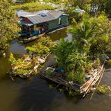 Schwimmende Beete statt Ackerboden: In den überfluteten Landschaften Kambodschas verlagern Bewohner ihre Landwirtschaft kurzerhand aufs Wasser. Auf Bambus und Holz errichten sie mobile Gärten, bepflanzen sie mit Gemüse und sichern sich so frische Nahrung trotz nomadischer Lebensweise. Die improvisierten Flöße gleiten zwischen Mangroven, Kanälen und Hausbooten, werden ständig gepflegt, repariert und neu arrangiert. Was spielerisch wirkt, ist in Wahrheit eine präzise Anpassung an klimatische Bedingungen, fehlende Infrastruktur und die Logistik des Alltags. Ein pragmatischer Einfallsreichtum, der zeigt, wie eng Überleben und Kreativität zusammenhängen