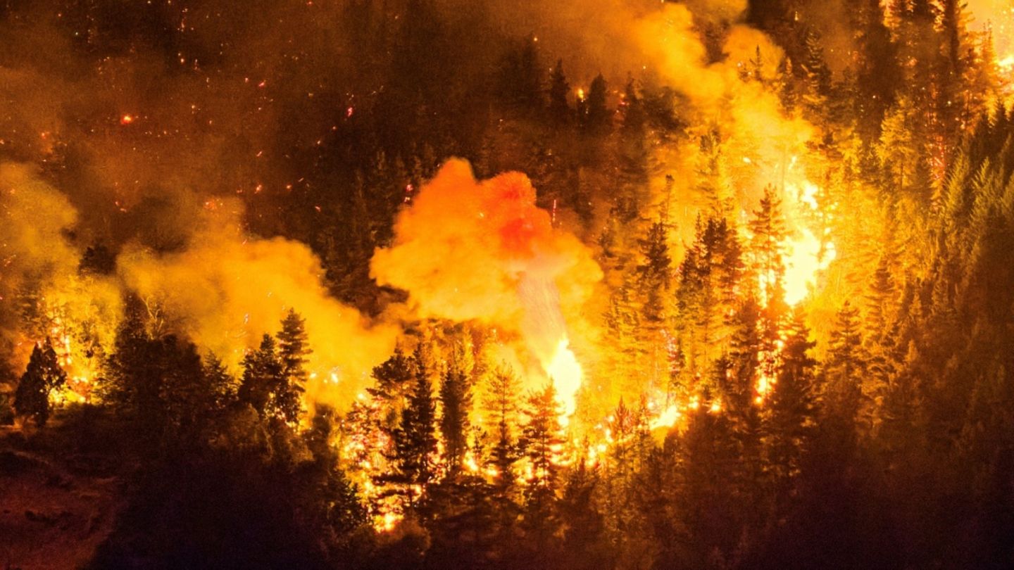 Waldbrand in der Provinz Chubut