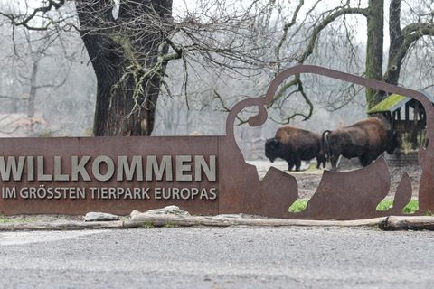 Im Februar können Menschen ab 65 Jahren kostenlos den Berliner Tierpark besuchen. (Archivbild) Foto: Kira Hofmann/dpa-Zentralbil