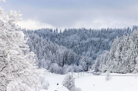 Es liegt noch viel Schnee im Südwesten. Foto: Philipp von Ditfurth/dpa