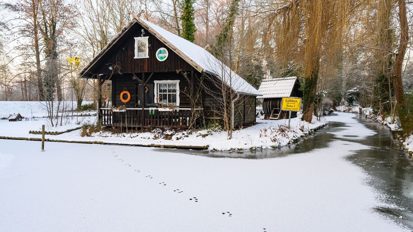 Winter im Spreewald mit Schnee und Eis gilt als besonderes Naturschauspiel. (Archivbild) Foto: Patrick Pleul/dpa