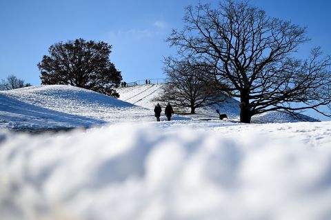 So soll Winter sein. Foto: Sven Hoppe/dpa