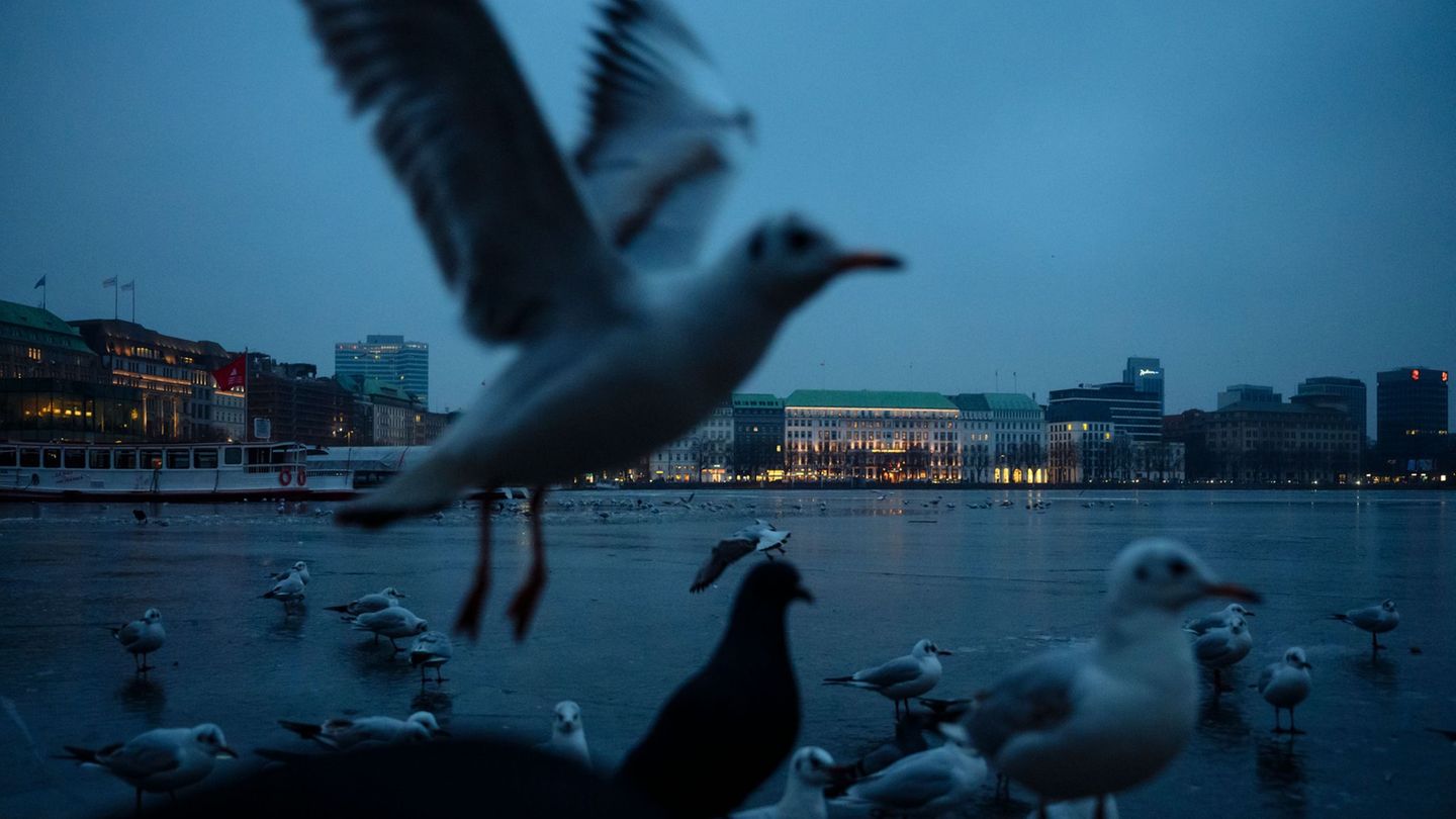 Auch am Wochenende bleibt es im Norden winterlich. (Symbolbild) Foto: Gregor Fischer/dpa