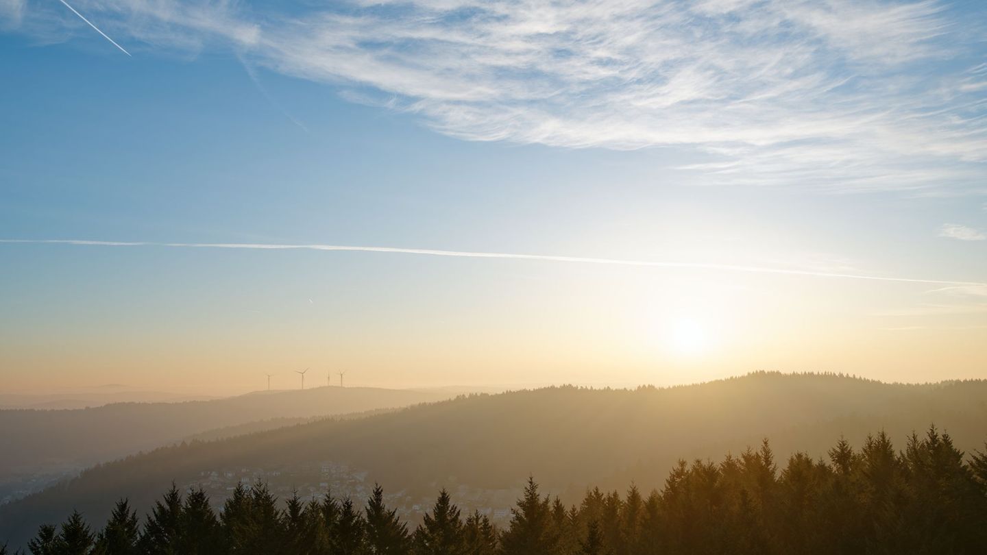 Es war außergewöhnlich sonnig im Januar. (Archivbild) Foto: Uwe Anspach/dpa