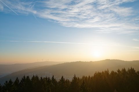 Es war außergewöhnlich sonnig im Januar. (Archivbild) Foto: Uwe Anspach/dpa