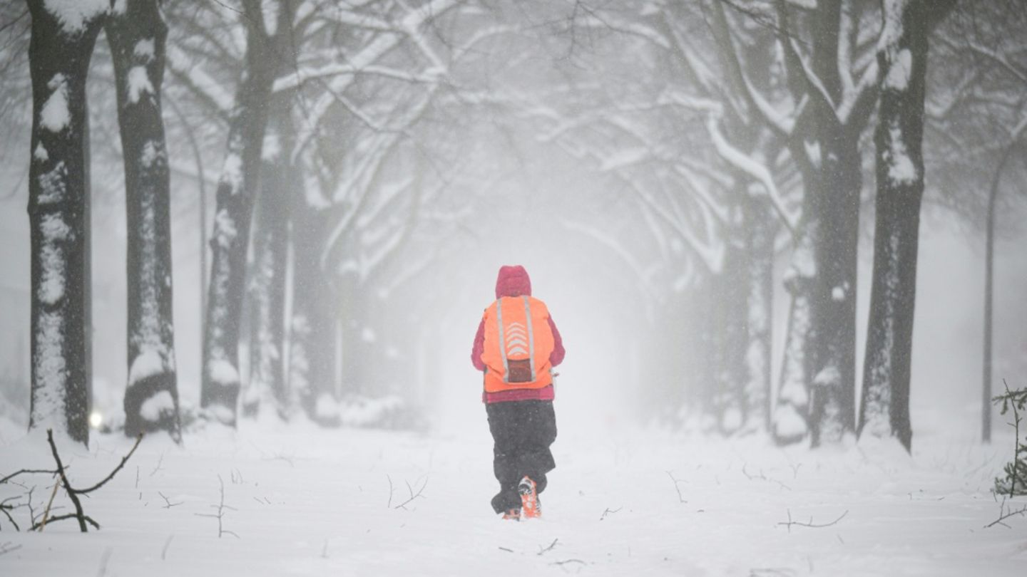 Schneesturm in Hamburg