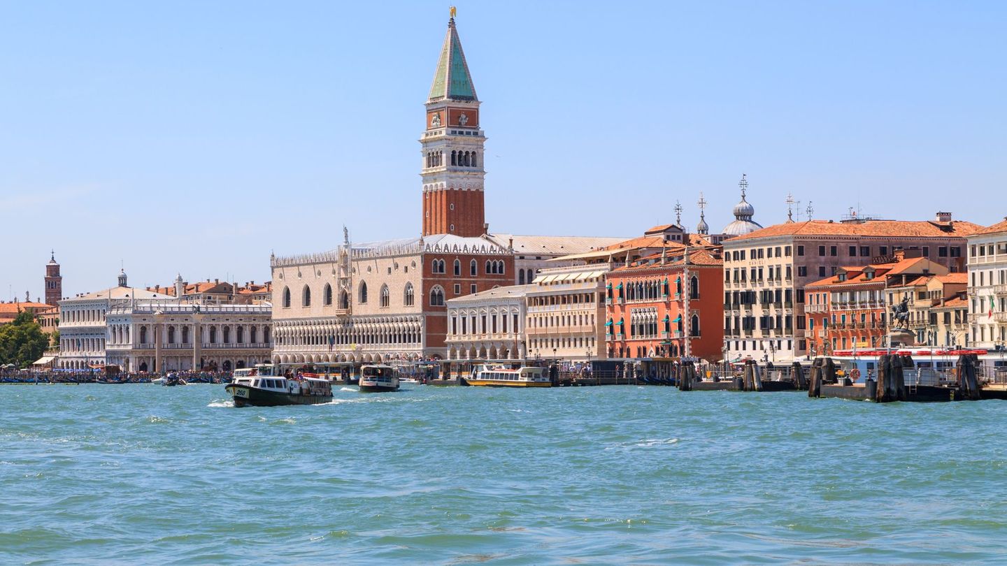 Die Ausbreitung der Meerwalnuss bedroht die Lagune von Venedig.