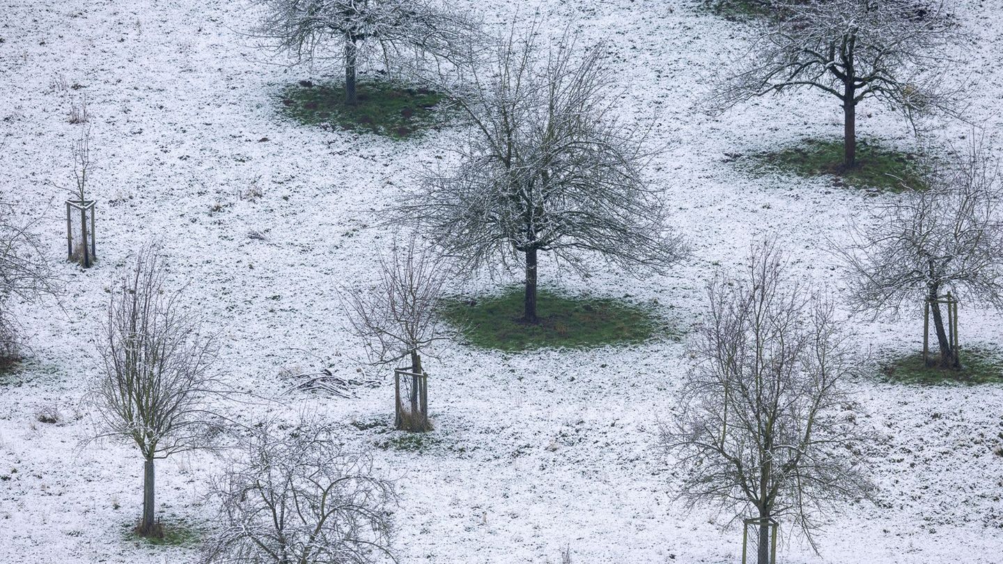 Immer wieder gab es Schnee - und trotzdem war der Januar laut Statistik zu trocken und zu warm. Foto: Thomas Banneyer/dpa
