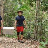 Hubert und Patrick dürfen auf Schatzsuche gehen. Dabei müssen sie von einem Baum Äpfel und Birnen ernten: Einer pflückt, der andere trägt den Sammelkorb auf dem Rücken und fängt das Obst mit einem Netz. Gezählt wird nur, was am Ende im Korb liegt. Je ein Apfel und eine Birne zusammen können gegen einen Schlüssel für die Schatztruhe eingetauscht werden. Tatsächlich sind die beiden erfolgreich und dürfen die Schatzkiste zurück ins Lager tragen