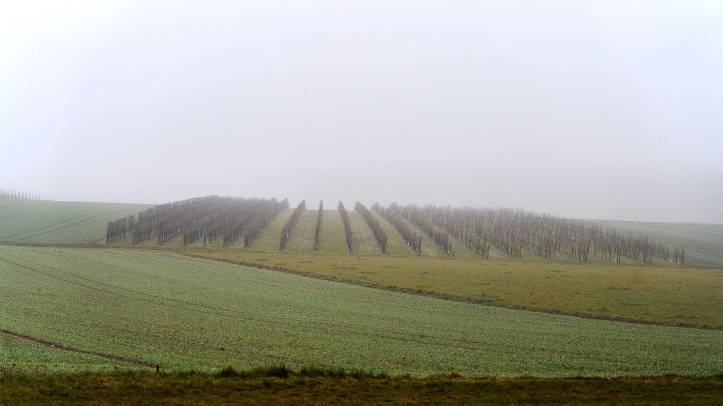 Von Schnee keine Spur mehr: Die steigenden Temperaturen ließen das Weiß schmelzen. Foto: Sascha Ditscher/dpa