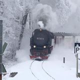 Drei-Annen-Hohne, Deutschland. Schneechaos bei der Bahn? Nicht in Sachsen-Anhalt! Ein Zug der Harzer Schmalspurbahnen dampft sich seinen Weg durch die verschneiten Landschaften