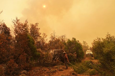 Betroffen sind Teile der Provinzen Chubut, La Pampa, Neuquén und Río Negro. Foto: Victor R. Caivano/AP/dpa