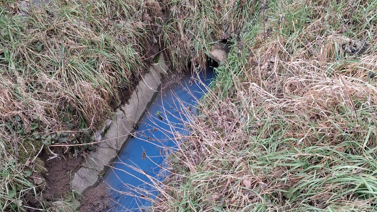 Am Dienstag wurde diese Verunreinigung entdeckt, zwei Tage später gab es eine weitere Verunreinigung in einem Bach. Foto: -/Verb