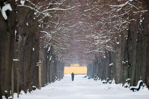 Frost und Schnee bestimmen aktuell das Bild in Niedersachsen und Bremen. (Archivbild) Foto: Julian Stratenschulte/dpa