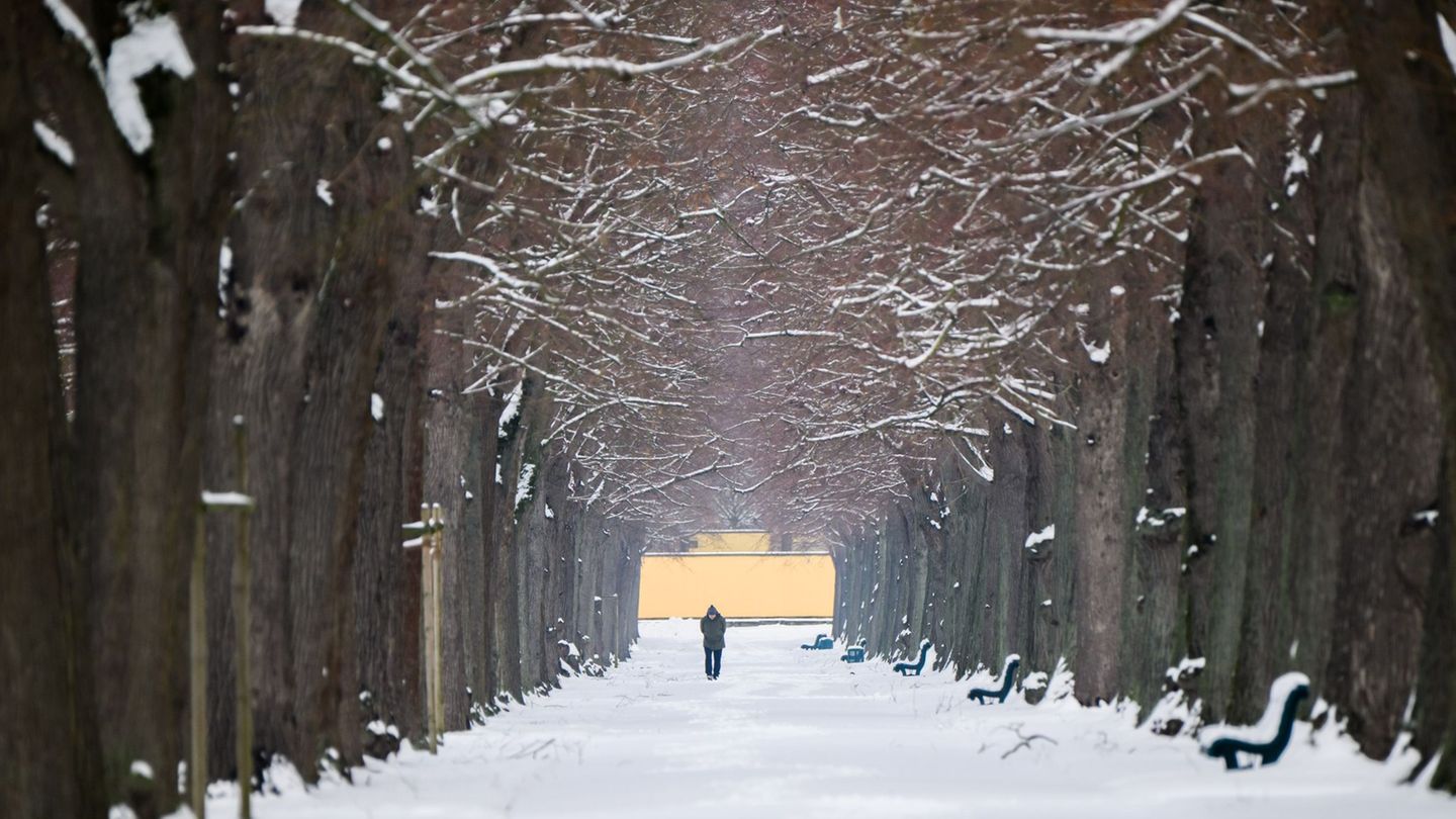 Frost und Schnee bestimmen aktuell das Bild in Niedersachsen und Bremen. (Archivbild) Foto: Julian Stratenschulte/dpa